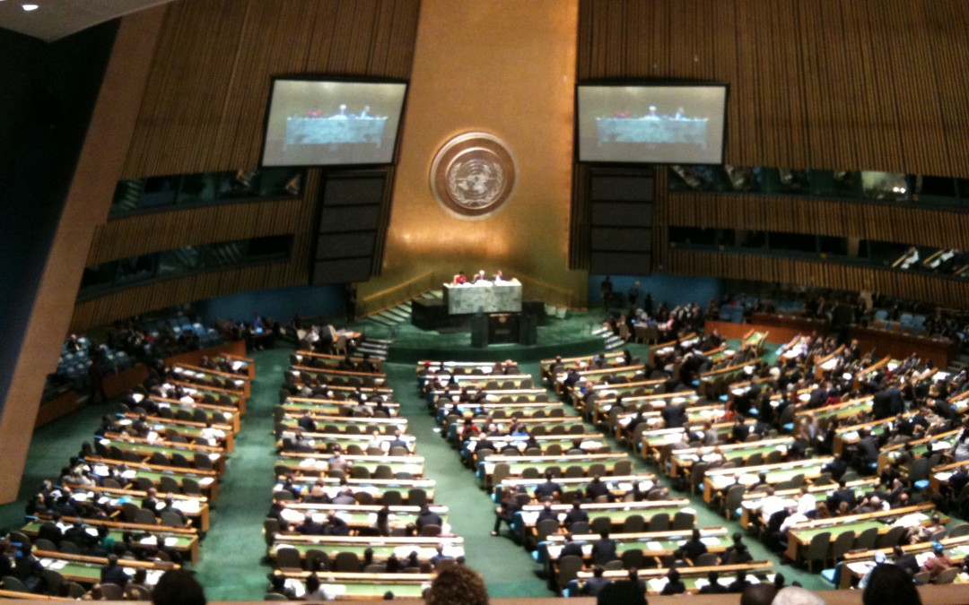 69th Session of the UN General Assembly (UNGA 69)